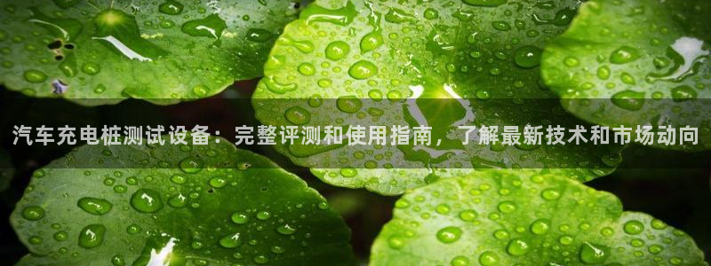 威廉希尔买卖指数：汽车充电桩测试设备：完整评测和使用指南，了解最新技术和市场动向