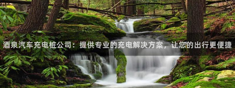 威廉希尔是什么水平的公司：酒泉汽车充电桩公司：提供专业的充电解决方案，让您的出行更便捷