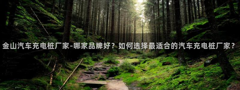 威廉踢球：金山汽车充电桩厂家-哪家品牌好？如何选择最适合的汽车充电桩厂家？
