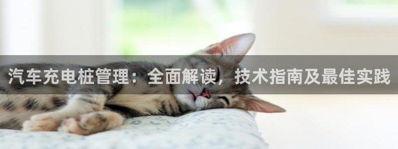 威廉希尔进球数的开盘特点：汽车充电桩管理：全面解读，技术指南及最佳实践