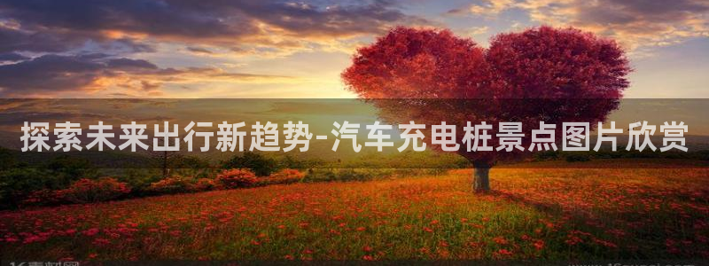威廉健身管理咨询有限公司：探索未来出行新趋势-汽车充电桩景点图片欣赏