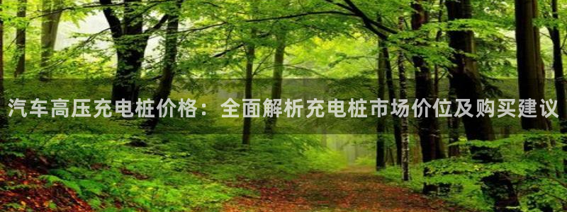 威廉希尔立博对比必学会：汽车高压充电桩价格：全面解析充电桩市场价位及购买建议