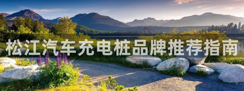 法甲威廉希尔：松江汽车充电桩品牌推荐指南