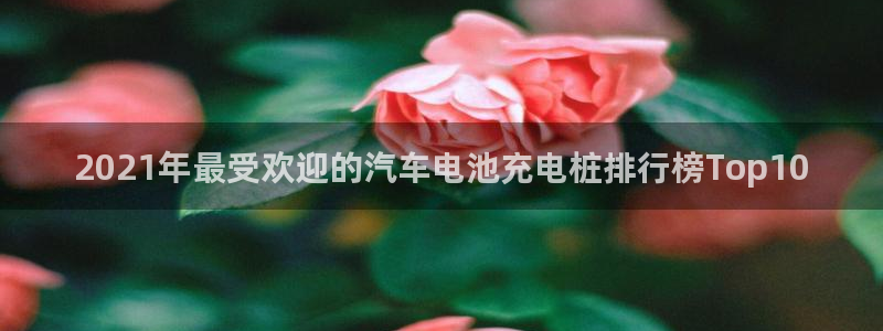 威廉国际不能提现：2021年最受欢迎的汽车电池充电桩排行榜Top10