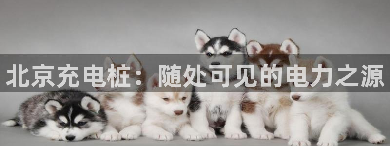 威廉希尔操盘手法总结：北京充电桩：随处可见的电力之源