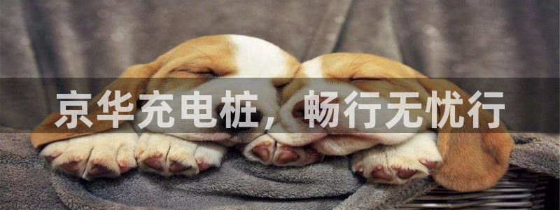威廉体育官方app下载安卓版：京华充电桩，畅行无忧行