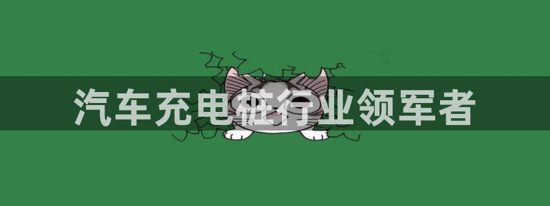 威廉希尔网址9什么：汽车充电桩行业领军者