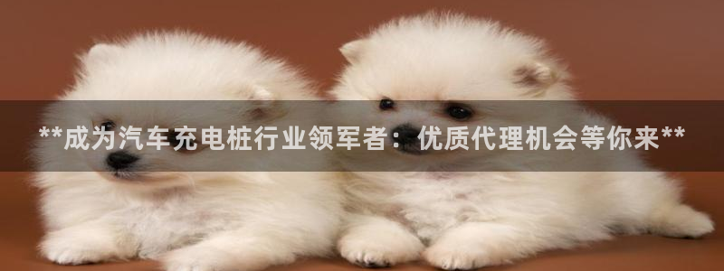 威廉希尔操盘手法总结：**成为汽车充电桩行业领军者：优质代理机会等你来**