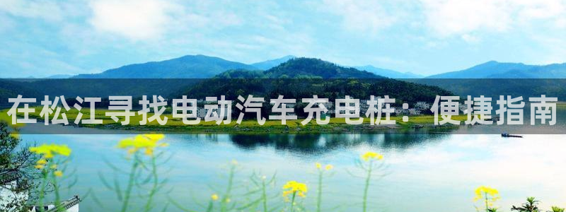 威廉希尔有限公司是国企吗：在松江寻找电动汽车充电桩：便捷指南