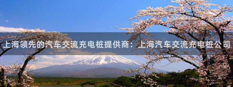 威廉希尔大小球：上海领先的汽车交流充电桩提供商：上海汽车交流充电桩公司