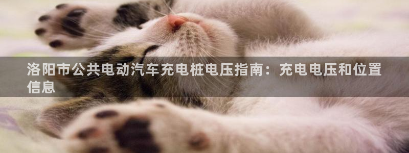威廉希尔足球官网：洛阳市公共电动汽车充电桩电压指南：充电电压和位置
信息