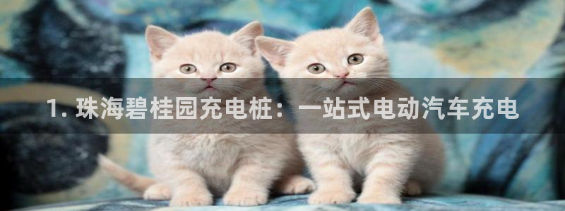 威廉希尔足球官网：1. 珠海碧桂园充电桩：一站式电动汽车充电
