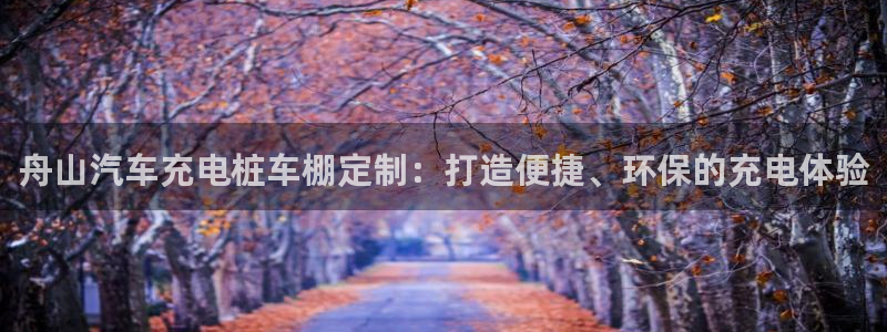 威廉希尔年销售总额：舟山汽车充电桩车棚定制：打造便捷、环保的充电体验