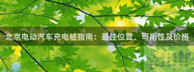 威廉国际：北京电动汽车充电桩指南：最佳位置、可用性及价格