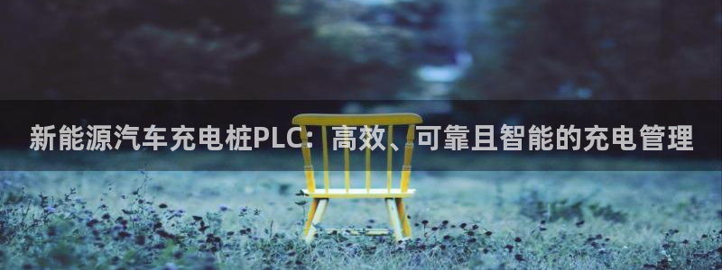 威廉港足球俱乐部：新能源汽车充电桩PLC：高效、可靠且智能的充电管理