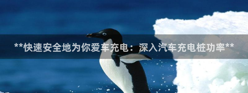 威廉娱乐2023官方版-4.12 Inurl:fayunsi：**快速安全地为你爱车充电：深入汽车充电桩功率**