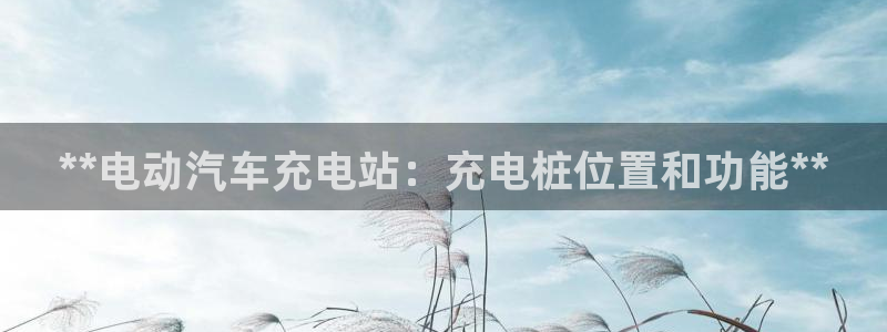 威廉澳门比较第三篇：**电动汽车充电站：充电桩位置和功能**