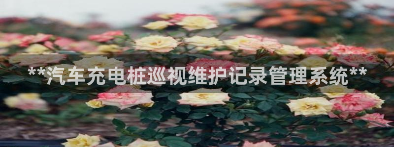威廉希尔足球分析师是谁