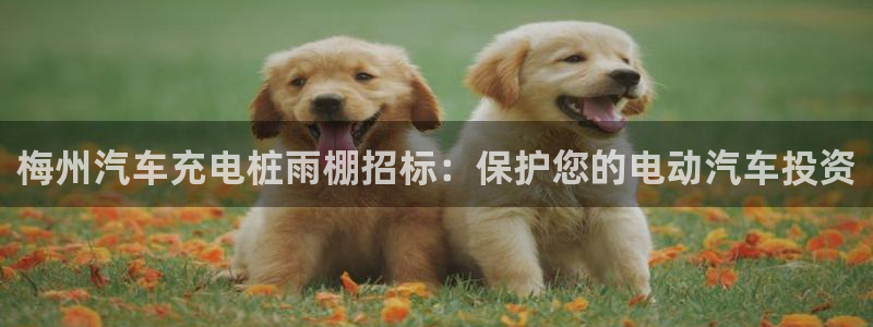 威廉希尔WilliamHill官方网站：梅州汽车充电桩雨棚招标：保护您的电动汽车投资