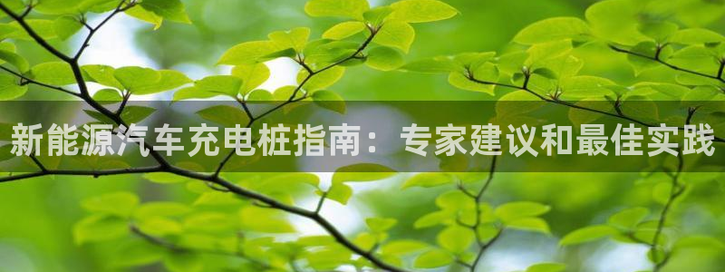 威廉希尔陪率特点：新能源汽车充电桩指南：专家建议和最佳实践