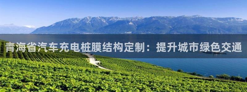 威廉国际网站是什么：青海省汽车充电桩膜结构定制：提升城市绿色交通