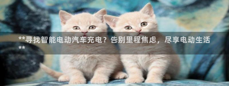 威廉希尔足球分析师怎么样：**寻找智能电动汽车充电？告别里程焦虑，尽享电动生活
**