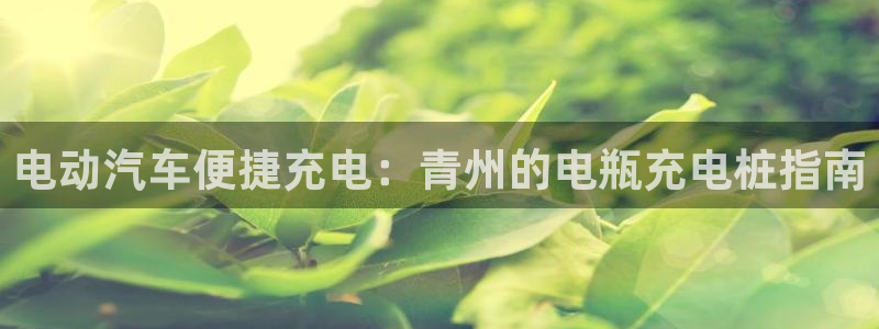 威廉希尔吧：电动汽车便捷充电：青州的电瓶充电桩指南