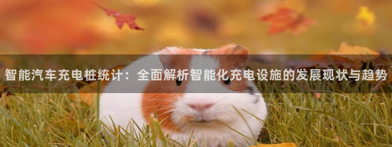 威廉希尔是什么水平的公司：智能汽车充电桩统计：全面解析智能化充电设施的发展现状与趋势