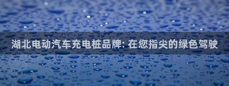 威廉体育官方app下载安卓手机：湖北电动汽车充电桩品牌: 在您指尖的绿色驾驶