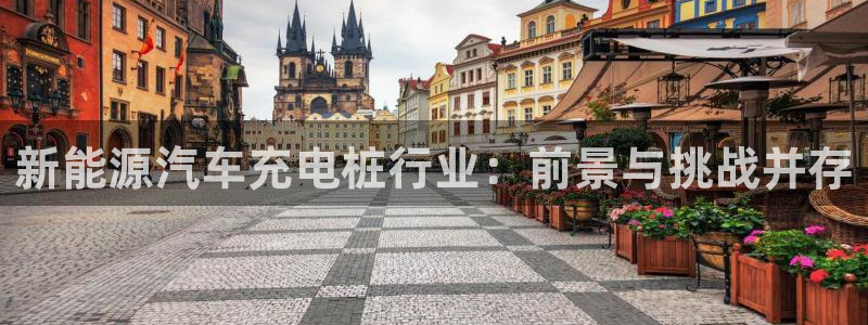 威廉希尔1.30 5.00 7.50：新能源汽车充电桩行业：前景与挑战并存