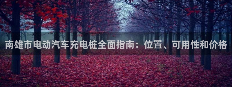 英国威廉希尔俱乐部：南雄市电动汽车充电桩全面指南：位置、可用性和价格