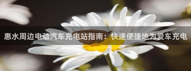 威廉希尔欧指和亚指区别：惠水周边电动汽车
