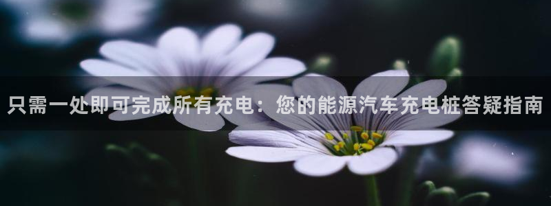 j联赛威廉希尔：只需一处即可完成所有充电：您的能源汽车充电桩答疑指南