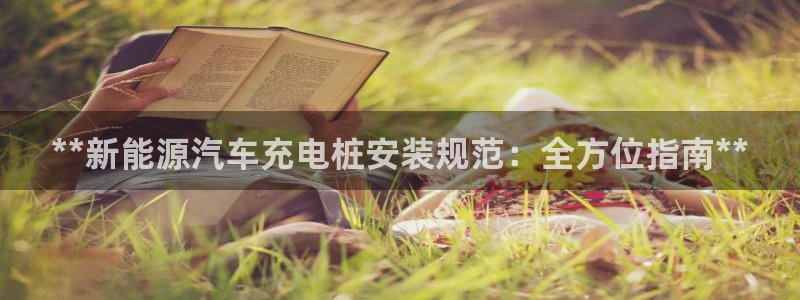 威廉健身管理咨询有限公司：**新能源汽车充电桩安装规范：全方位指南**