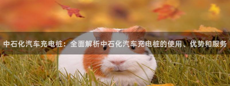 威廉希尔对比inter：中石化汽车充电桩：全面解析中石化汽车充电桩的使用、优势和服务