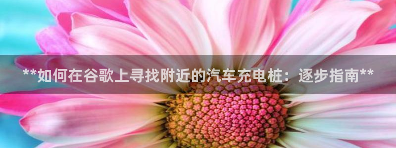 威廉娱乐：**如何在谷歌上寻找附近的汽车充电桩：逐步指南**