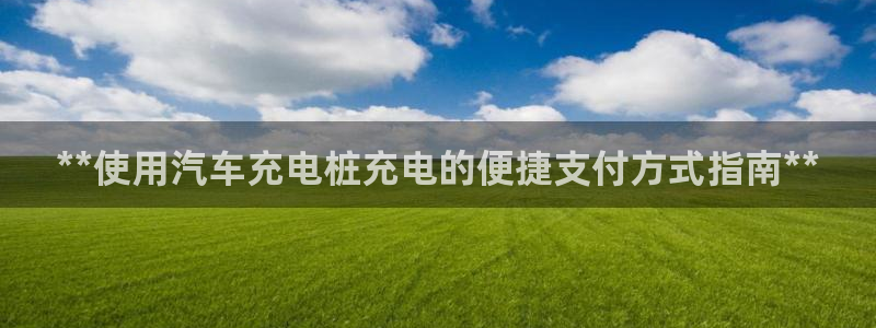 威廉国际提现是一个什么平台：**使用汽车充电桩充电的便捷支付方式指南**