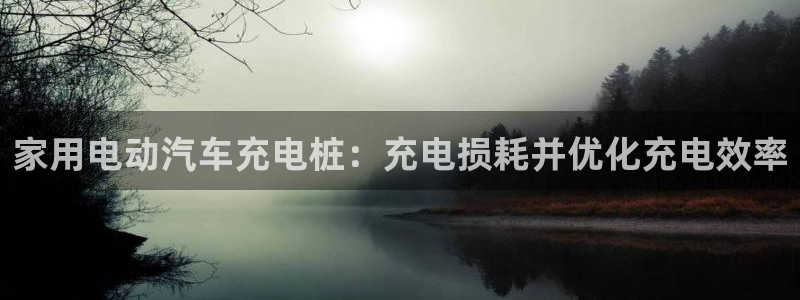威廉希尔香港俱乐部：家用电动汽车充电桩：充电损耗并优化充电效率