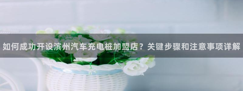 威廉希尔诺贝尔模型：如何成功开设滨州汽车充电桩加盟店？关键步骤和注意事项详解