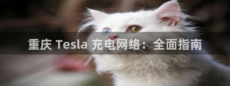 威廉希尔股票：重庆 Tesla 充电网络：全面指南