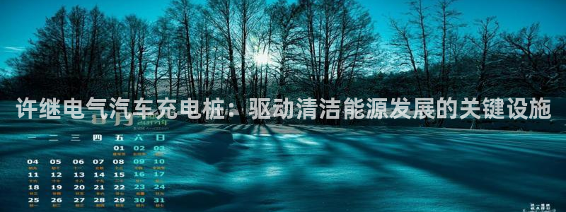 威廉希尔500指数：许继电气汽车充电桩：驱动清洁能源发展的关键设施