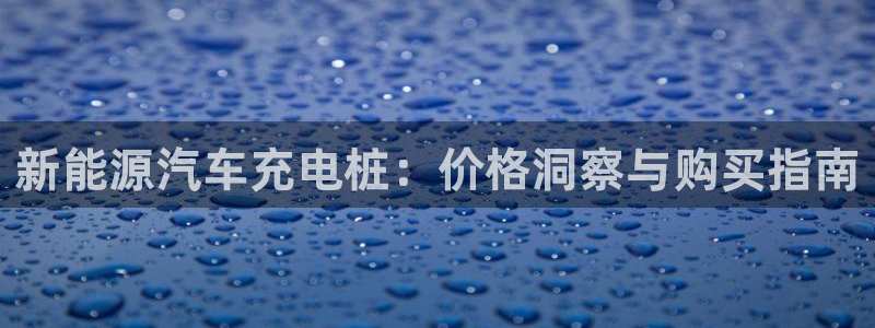 威廉游戏直播：新能源汽车充电桩：价格洞察与购买指南