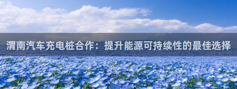 威廉希尔与立博技巧：渭南汽车充电桩合作：提升能源可持续性的最佳选择