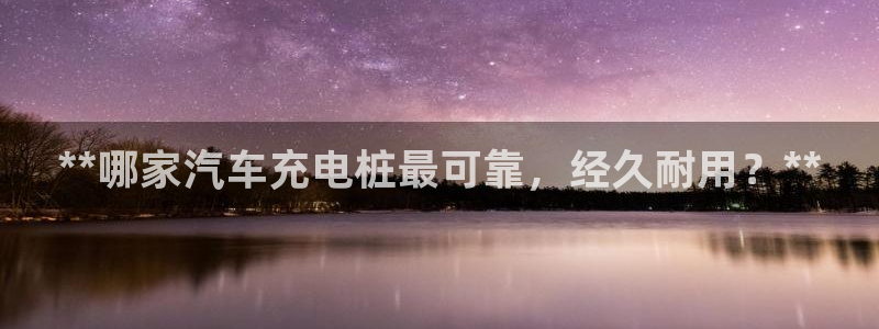 威廉希尔大小球指数怎么看：**哪家汽车充