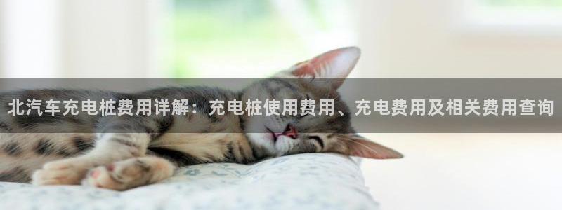 威廉希尔篮球看盘思路