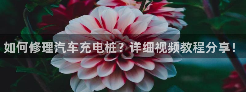 威廉看球：如何修理汽车充电桩？详细视频教程分享！