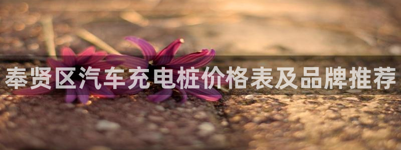 威廉国际app是干什么的
