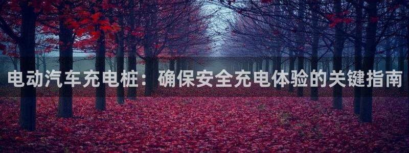 威廉希尔俱乐部：电动汽车充电桩：确保安全充电体验的关键指南