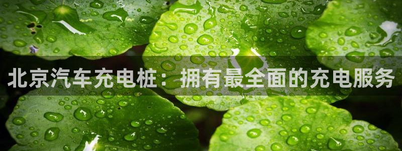 足球威廉希尔初盘还是变盘：北京汽车充电桩：拥有最全面的充电服务