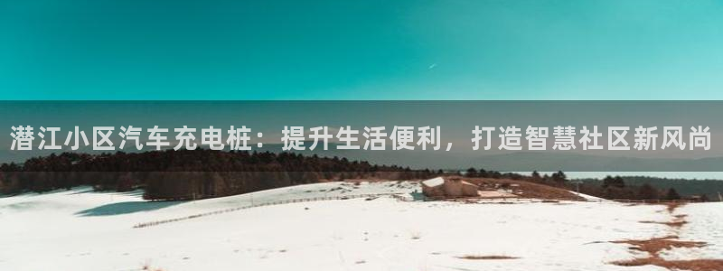 谁知道正规的威廉希尔：潜江小区汽车充电桩